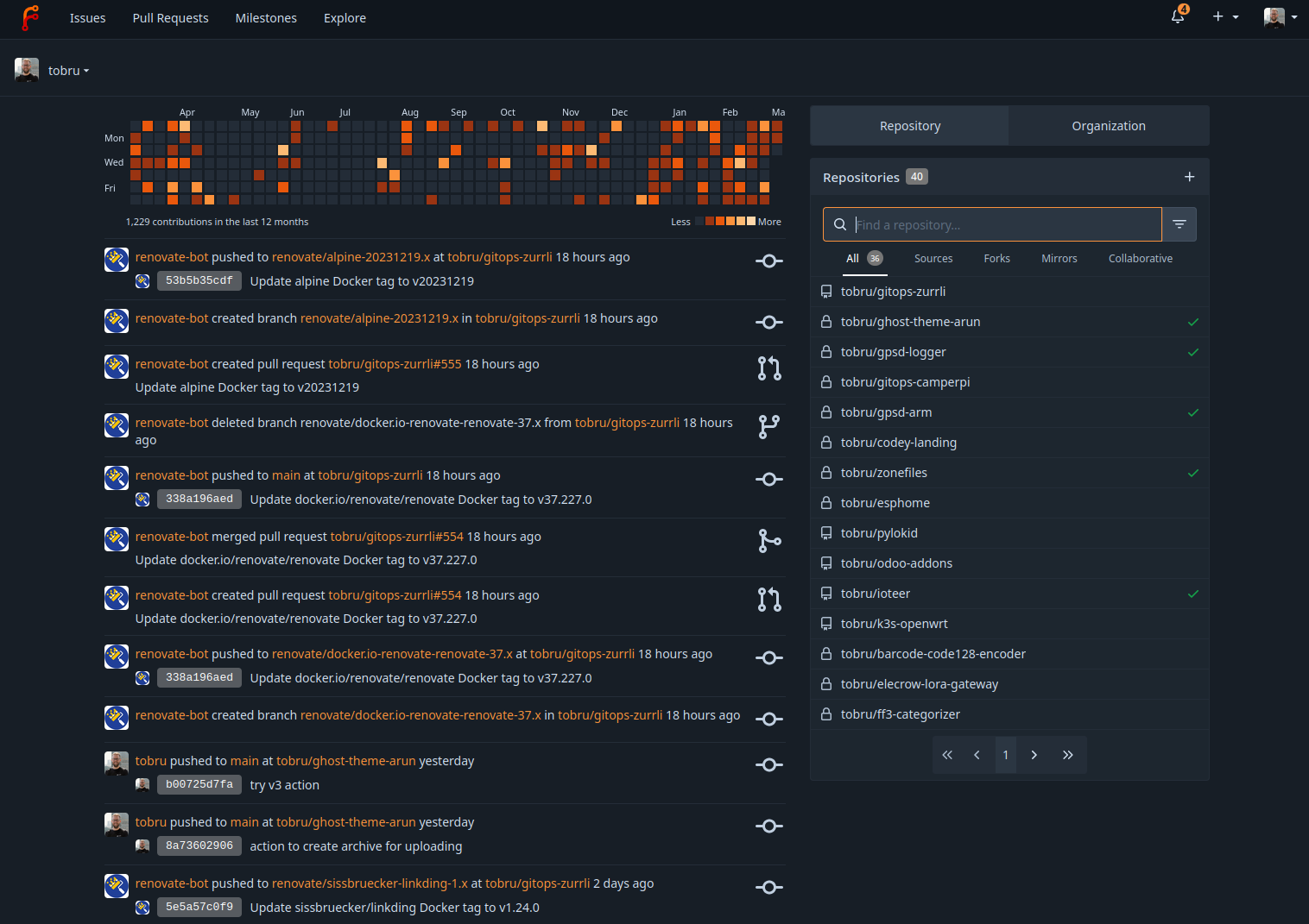 Forgejo interface screenshot